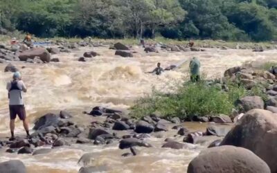 Dabs News | Dusi 2026